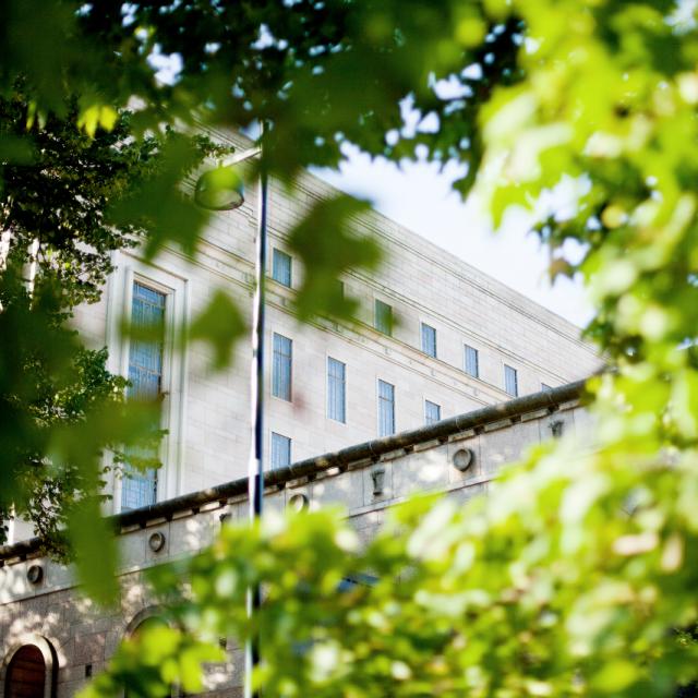 En bild på Finlands riksdagshus bakom gröna trädgrenar